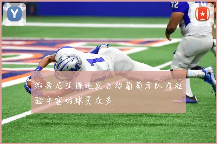维蒂尼亚谦逊发言称葡萄牙队内经验丰富的球员众多