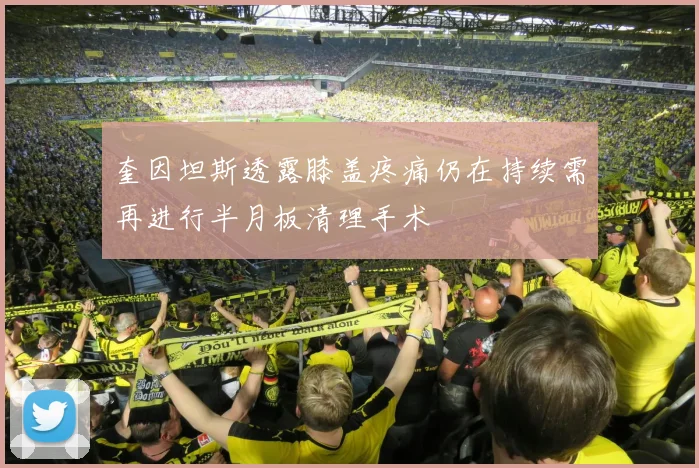 奎因坦斯透露膝盖疼痛仍在持续需再进行半月板清理手术